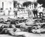 H exactamente 60 anos, no dia 15 de Maro de 1961, registou-se no Norte de Angola, em pouco mais de 48 horas, um dos mais terrveis crimes contra a Humanidade: o brbaro assassinato de aproximadamente 7.000 Portugueses civis from jaleitaaa de membrillo