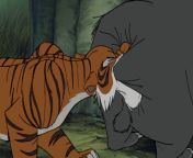 Biting Baloo&#39;s ass wasn&#39;t in the script, Shere Khan improvised it and said No Homo after the shot. from shere rehman