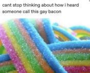 I don&#39;t hate gay bacon from gay sean zebran