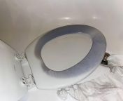 Toilet seat stained blue I laid toilet paper down soaked with 99% isopropyl alc on one side for 1hr. Should give up and buy a new seat? Is this worth the fight? from skibifi toilet