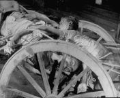 Corpses lying in a cart on their way to be cremated after bloody rioting between Hindus and Muslims in Calcutta, India, 1946 (photographed by Margaret Bourke-White) from 天发娱乐移动版→→1946 cc←←天发娱乐移动版 czfo