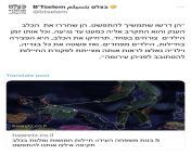 Thoughts on the vile behavior of Two armed Israeli soldiers with K9 dogs forced 5 Palestinian women after midnight raid to take off all their clothes and walk around naked in front 50 soldiers. On top of that they threatened to release the dog at them iffrom israeli soldiers sex