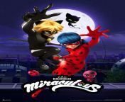 [M4AplayingF] Looking to do a roleplay based off Miraculous Ladybug! (Cat Noir and Ladybug being aged up here!) I&#39;d love to hear your plots if you have some but I have some too! Kinks and limits are on my profile, just tell me if you want the plot tofrom cosplay miraculous ladybug