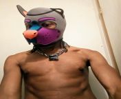 My new hood. What do you think for a bisexual pup that flags grey (bondage) from lama grey