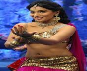 Shriya Saran has such an tempting navel??? from www xxx shriya saran image 195 com aunty saree navel angela