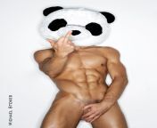 Panda - @Stokes_Photo from kangnaxxx photo xxx panda سكس نيك