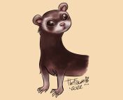 08/04 Just another ferret. from 谷歌霸屏排名【电报e10838】google留痕引流 erc 0804