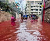 Rain and blood from slaughtered animals create a Red River post Eid Al-Adha in a congested alley in Dhaka, Bangladesh from bangladesh grup sexwww 1985 vide