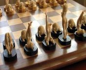 So apparently mittens used this chess set to train. Gavin from third grade is also rumoured to uave used this set. Any idea where I can get it? from third grade bangla movie song