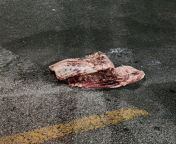 Walmart road kill from road kill sex 3d