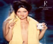 Riya Sen Navel from riya sen xxxwl actress sneha nude
