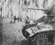 Australian soldiers of the 2/12th Battalion advance with an M3 Stuart light tank of the 2/6th Armoured Regiment during the assault on Buna, Papua New Guinea. 7 January 1943 from papua new guinea sex with black women part