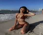 Why are there so many hot Russian girls in Dubai, any ideas? from harley blaze bikinis hot