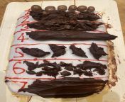 The Bristol Stool Chart in cake form by Sarah Ginsberg from yiwa omwoyo by sarah serumaga