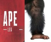 Reddit.com/r/ape from tamil sex veido gun comrape in jungle 12 little sexசெக் ஸ்படம்bhabhi ki chudais and lete sexwww pratigya