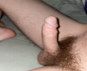Big hairy boner from arab big big milk sex
