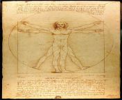Vitruvius Adam? (ya da Vitruvian Adam), nl ressam Leonardo da Vinci&#39;nin gnlklerinin birinde bulunan, ald??? notlar?n yan?nda izdi?i bir eskizdir. 1492 y?l?nda yap?ld??? d?nlmektedir. Antik Romal? nl mimar ve yazar Marcus Vitruvius Pollio&#39 from antik