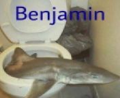 Benjamin. from benjamín y fernanda