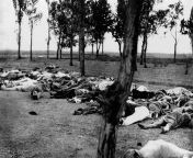 The corpses of Armenians beside a road along one of the deportation routes. This photo was first published in 1918 in the book Ambassador Morgenthau&#39;s Story, by Henry Morgenthau Sr. Morgenthau was the US Ambassador to the Ottoman Empire from Decemberfrom ambassador