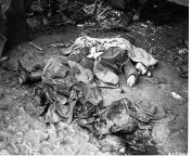 ( Original Caption). Army Signal Corps photograph of dead German soldier&#39;s body with playing cards thrown on it by American soldiers. Volksberg area, France, December 6, 1944 from bd army signal vabi