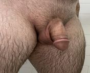First post here, any ladies like a clean shaved, just showered penis? from penis shaved