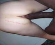 Before hitting her deep inside. Bull session for a young American cuck&#39;s wife by Indian Bull. from punjabi wife record