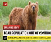 BREAKING: Brown bear population growth in Upper Midwest states correlated to recent &#36;25 billion shed from cryptomarket cap, studies show, as Bitcoin tumbles 10%. Crypto market cap down &#36;300 billion year-to-date from bitcoin
