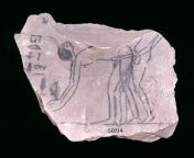 Taken from Egypt and now housed in the British Museum, a limestone ostracon with a representation of a sex scene. It dates to the 19th Dynasty (circa 1295-1186 BCE) or the 20th Dynasty (circa 1186-1070 BCE) of the New Kingdom. (1037x620) from bigest and longest penis in the worldsex in virgin girl