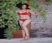10 hot photos of Khushali Kumar in bikini (in comments). from khushali kumar sex nude mujra nakat denc