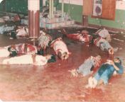 Aftermath of the Kattankudy mosque massacre,Sri Lanka 1990 during the Sri Lankan civil war. from sri lankan