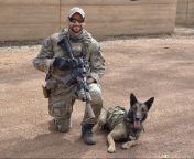SASR Combat Assault Dog Handler Ryan Wilson with his Dog Keni at the SAS Training Area in Bindoon, WA [750 x 657] from keni style
