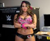 Hot take or not. I truly believe that Nikki Bella was the best &#34;Diva&#34; of all-time. from wwe nikki bella xxnx videos d