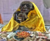 Mummy of Buddhist monk Sangha Tenzin, who lived during the 15th century, from Gue, India. Sangha Tenzin is one of the very few known Buddhist monks who began the mummification process while they were still alive. from tante gue