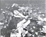 The bodies of dead Japanese soldiers lie around a hospital after being killed by Japanese forces evacuating the place. from japanese gadis bawa