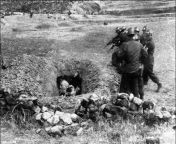 In this photo taken by a U.S. Army photographer, in April 1951, South Korean soldiers shoot political prisoners from the opposition. from korean 18 mov