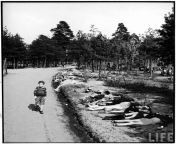 German boy walking down a dirt road lined with the corpses of hundreds of prisoners who have died of starvation near the. Bergen extermination camp (Spring 1945) from hlbalbums pk bergen