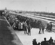Jews from Carpathian Ruthenia on the selection ramp at Auschwitz II, c. May 1944. Women and children are lined up on one side, men on the other, waiting for the SS to determine who was fit for work. About 20 percent at Auschwitz were selected for work and from indian doctor and nurse sex 3gp videosi sex wap comndian desi village jabarjasti sex video