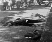 Civilians shot by German soldiers in the town of Pancevo (northwest of Belgrade). 36 civilians were seized on the street and shot by soldiers of the Grodeutschland regiment. April 4, 1941. from pancevo