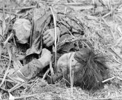 The body of a North Vietnamese soldier found the morning after a night of fierce hand-to-hand combat between NVA troops and U.S. Marines. 31 July 1966.(AP Photo/Phuoc) from fucking femboy in the morning after a night of breaking sex
