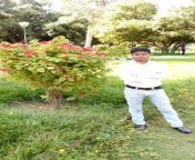 Lalbagh Botanical Garden, Bangalore, Karnataka from bangalore karnataka gf video call