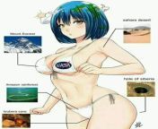 earth Chan (xter) [earth/solar system] from 155 chan hebe res 241