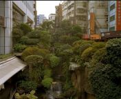 Urban jungle in Taipei, Taiwan from sex vlog in taipei