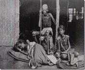 [NSFW] Bengal famine of 1943, caused by the action of Winston Churchill. from bengal honey