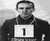 Jurgen Stroop AKA The Butcher of Warsaw was a convicted war criminal sentenced to death for the murder of 9 American airmen by the Americans, as well as for burning down the Warsaw ghetto in Poland by the Polish. It would be the Poles who would carry ou from deviantart the butcher x 781811417 jpg