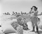 Posting WW2 stuff on a semi-regular basis until I forget I started doing it &#124; part 184: entrenched British soldiers during the First Battle of El Alamein. Egypt, 17 July 1942. from anteel el mahalla egypt sixesh dhaka rajbari sex