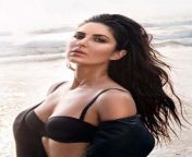 [M4F] The story goes around the time when Katrina kaif&#39;s movies were not working and she heard about tiger being made so she really wants a part in the movie (start with her first message to the lead actor) from katrina kaif xxx 3gp 10