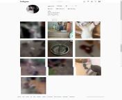 [OFF-POST[ Please Ban this guy he posts animal Abuse on insta videos please someone report him as someone with not so many followers please guys help me His account name is _acesir from please wwwxxx pakistan