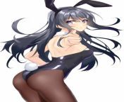 Bunny girl [Seishun Buta Yarou wa Bunny Girl Senpai no Yume wo Minai] from buta