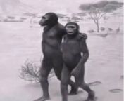 Ancient ape man 100,000 years ago from ape kelange jangi photos