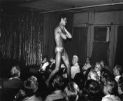 Seedy times strip club for guys, 1970s. The peelers were usually adult film stars on tour. from indian film stars sex videosradisebird valery